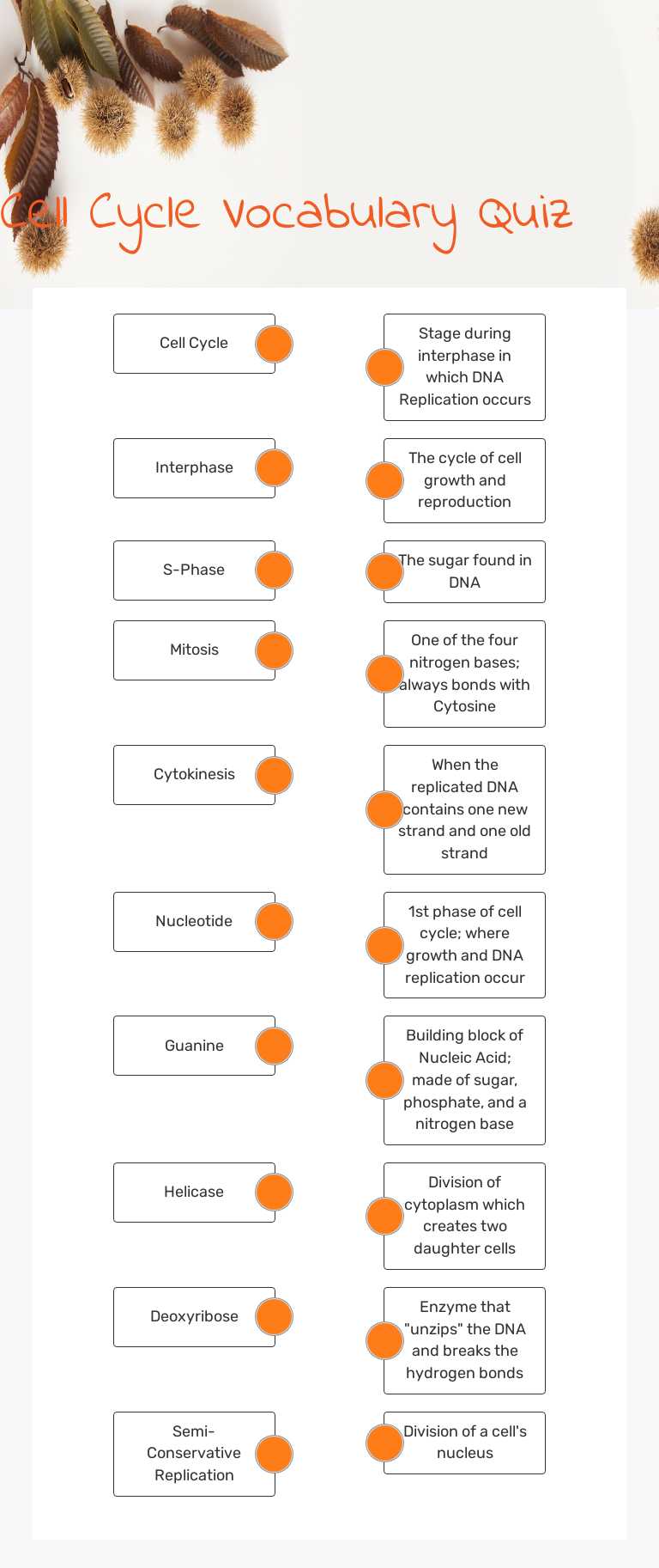 Cell Cycle Vocabulary Quiz worksheet preview image