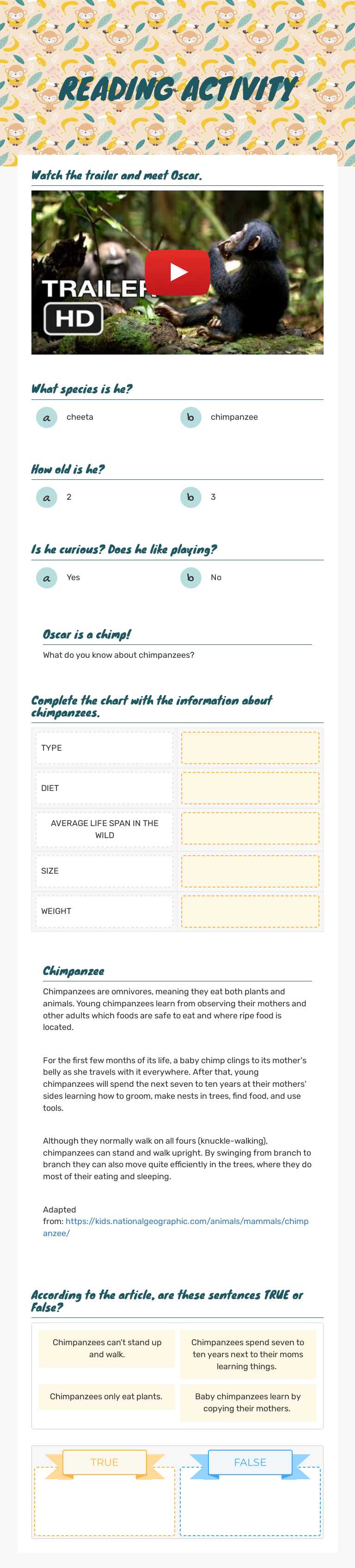 READING ACTIVITY worksheet preview image