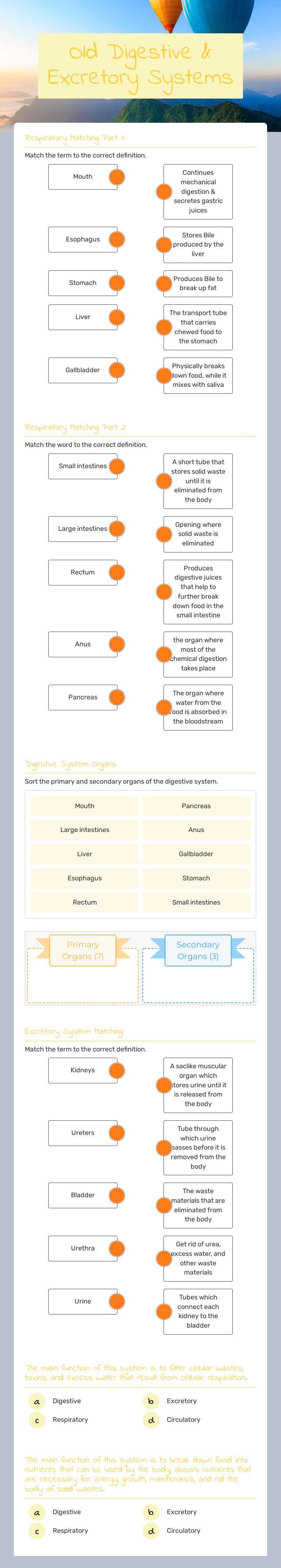 Old Digestive & Excretory Systems worksheet preview image