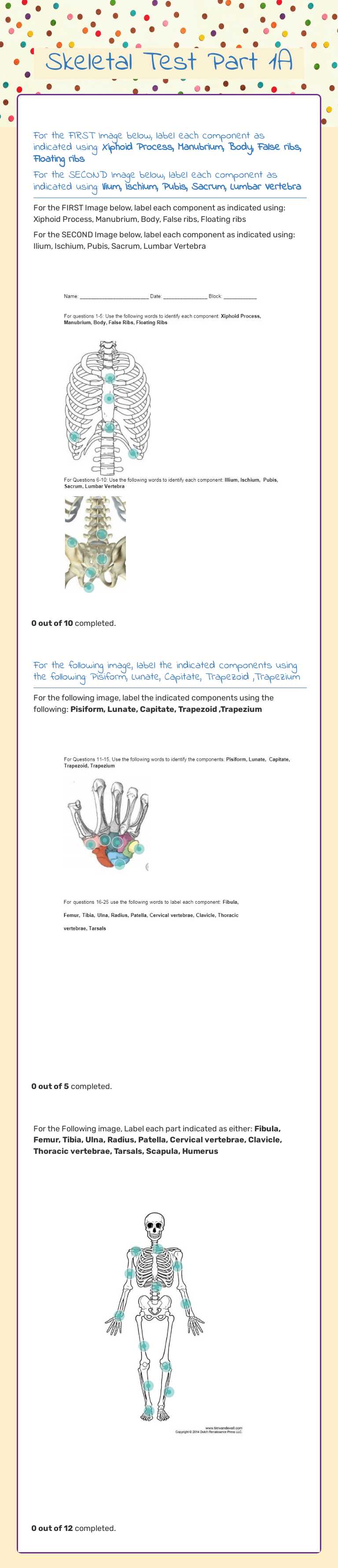 Skeletal Test Part 1A worksheet preview image
