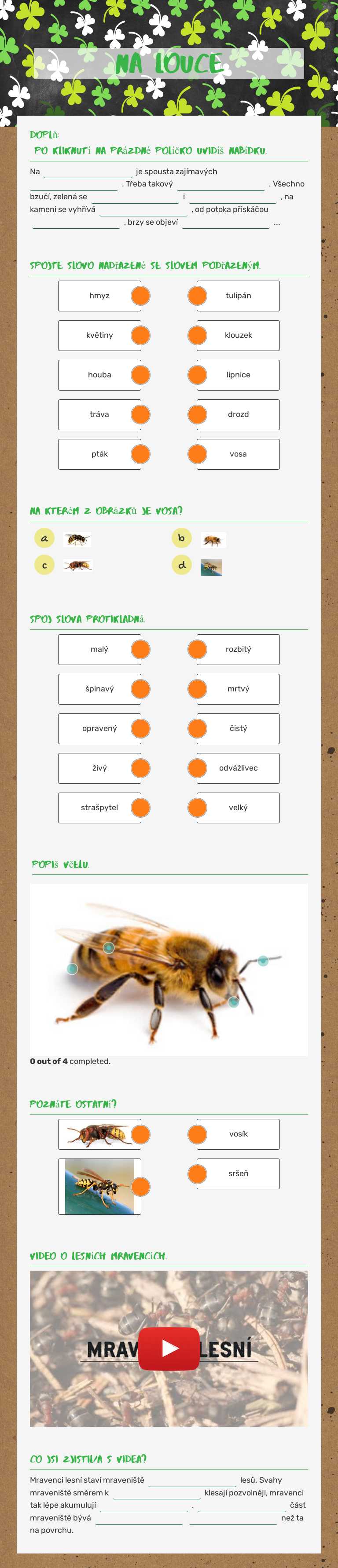 NA LOUCE worksheet preview image