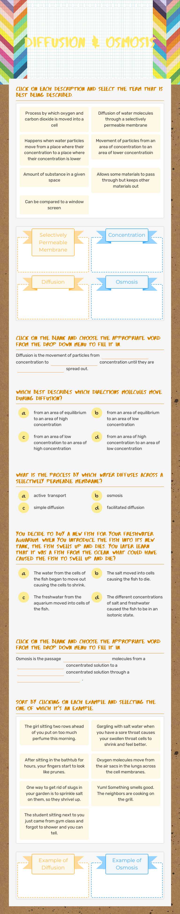 Diffusion & Osmosis worksheet preview image