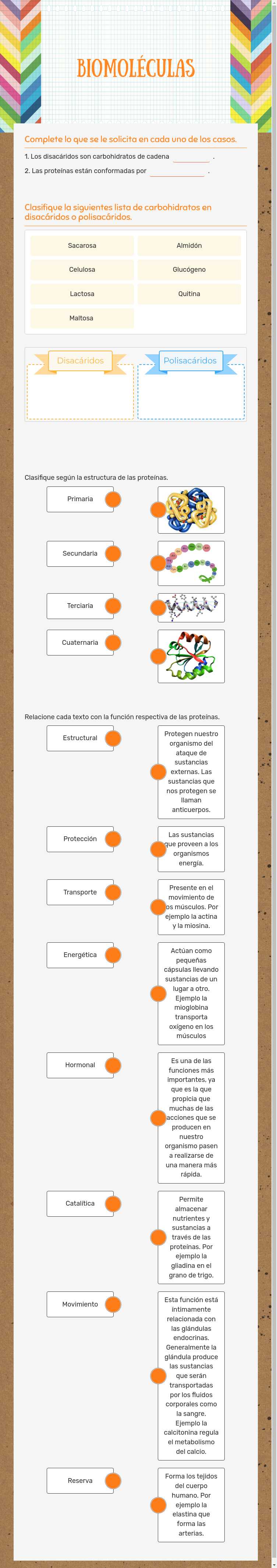 Biomoléculas worksheet preview image