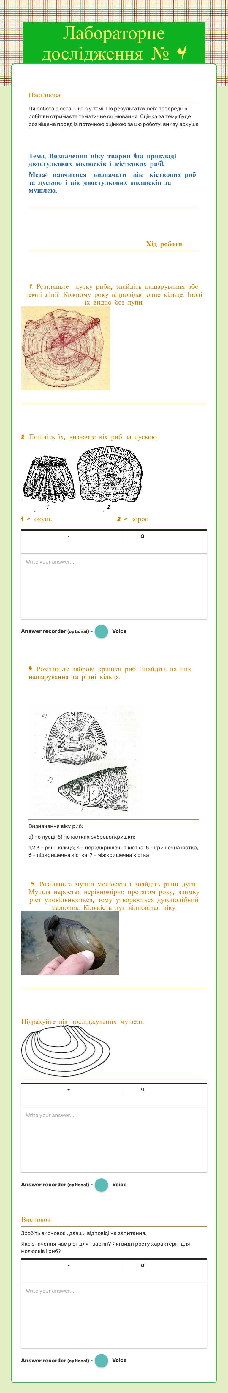 Лабораторне дослідження № 4 worksheet preview image