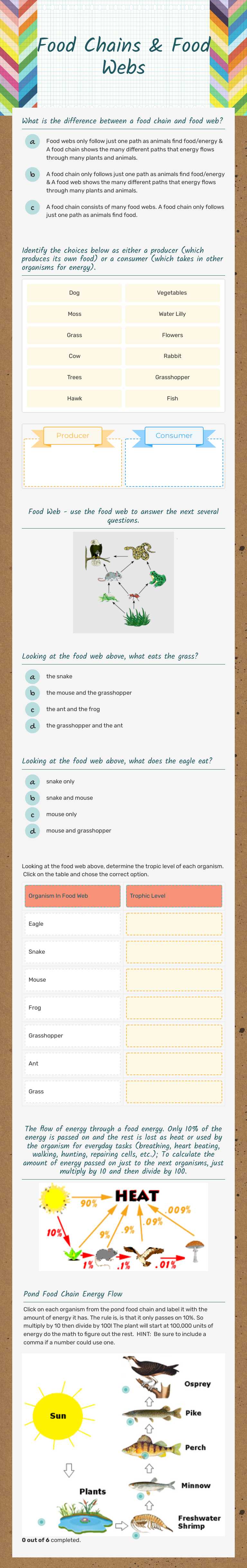 Food Chains & Food Webs worksheet preview image