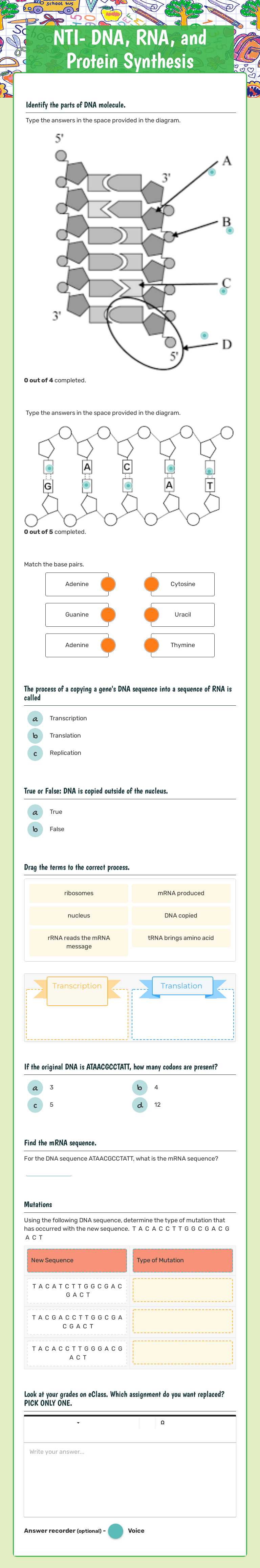 NTI- DNA, RNA, and Protein Synthesis worksheet preview image