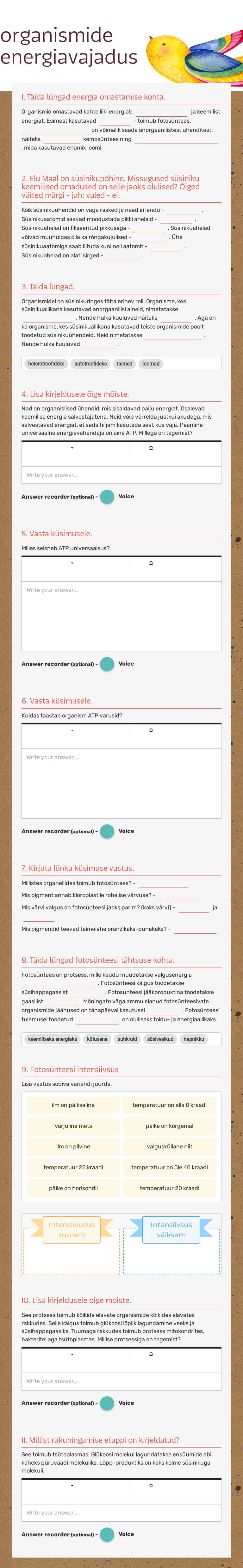 organismide energiavajadus worksheet preview image