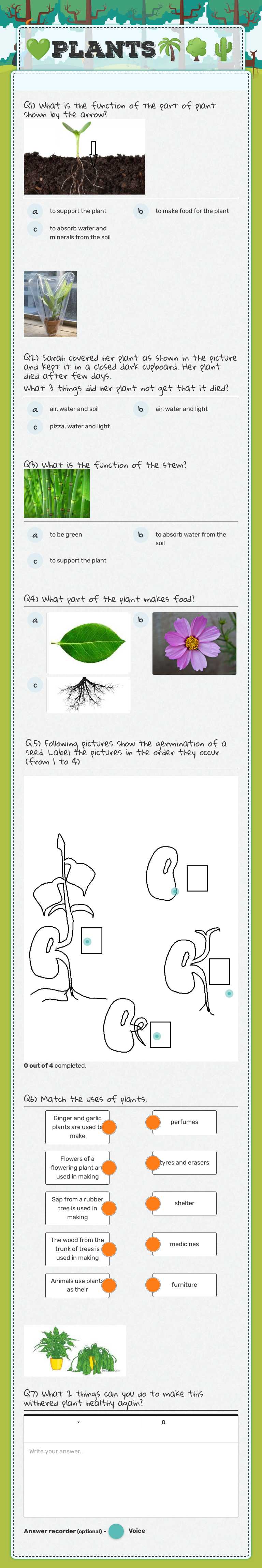 💚Plants🌴🌳🌵 Grade 2 worksheet preview