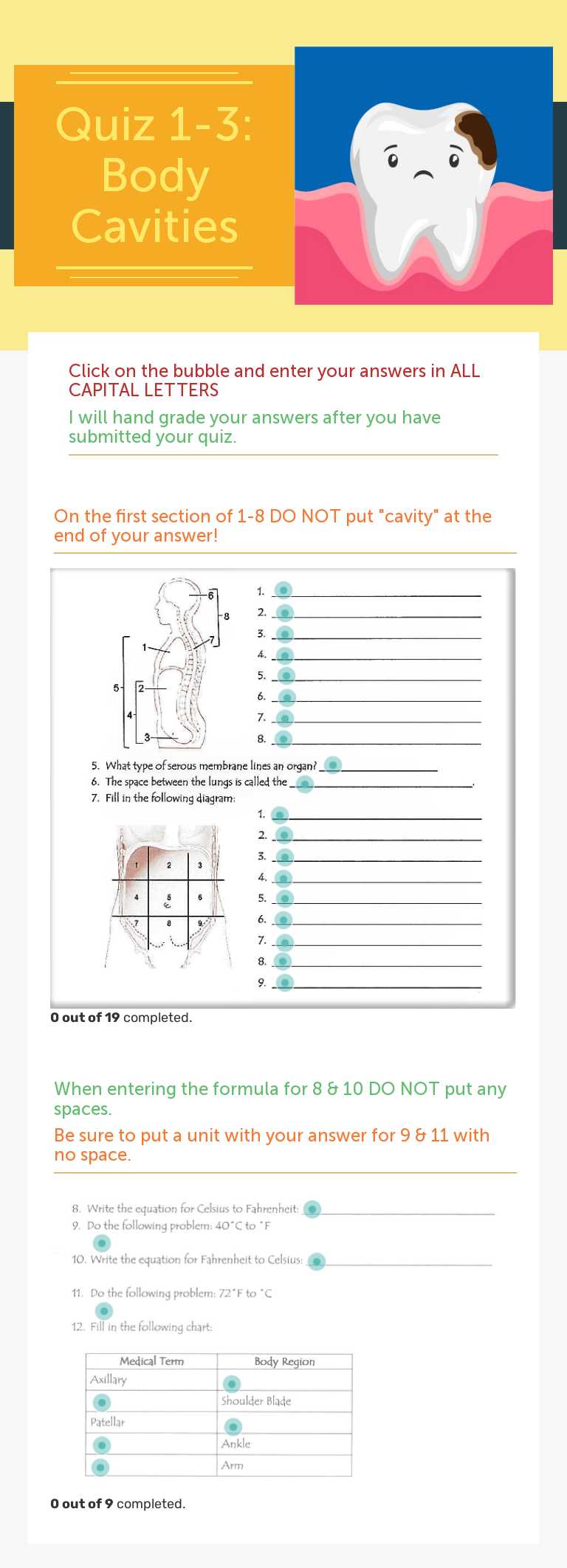 Quiz 1-3: Body Cavities worksheet preview image