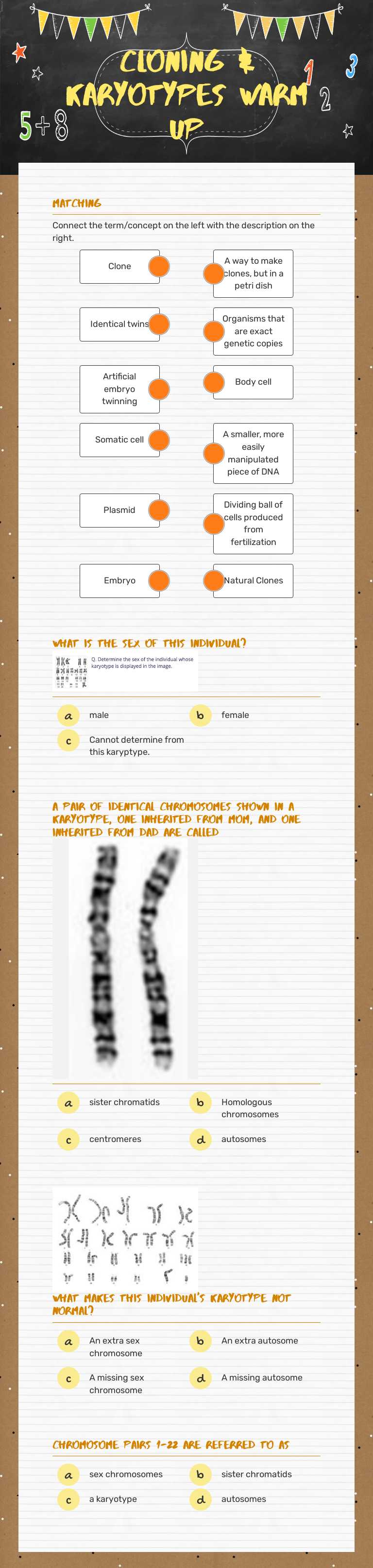 Cloning & Karyotypes Warm Up Grade 8 worksheet preview