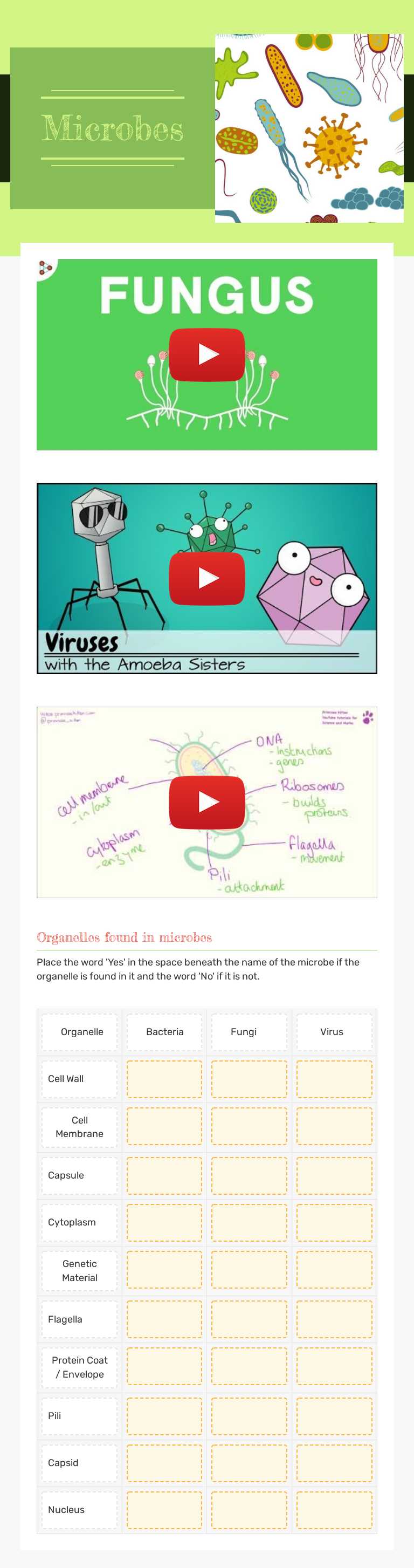 Microbes worksheet preview image