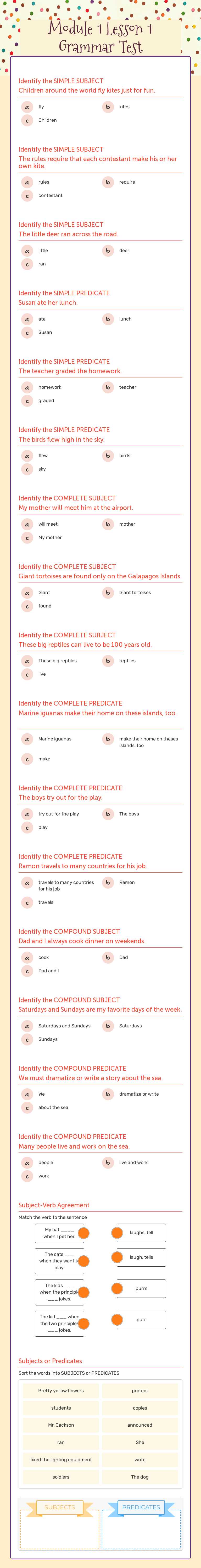 Module 1 Lesson 1 Grammar Test worksheet preview image