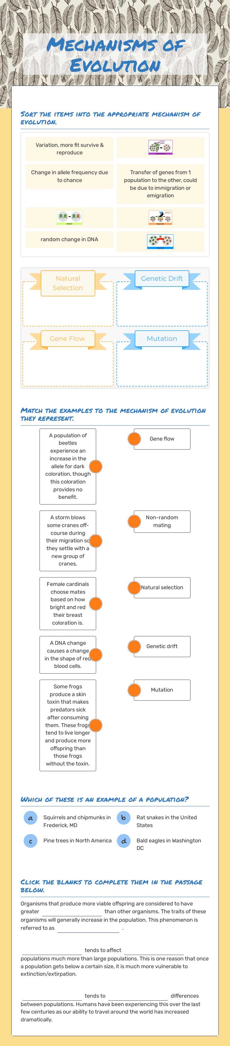 Mechanisms of Evolution worksheet preview image