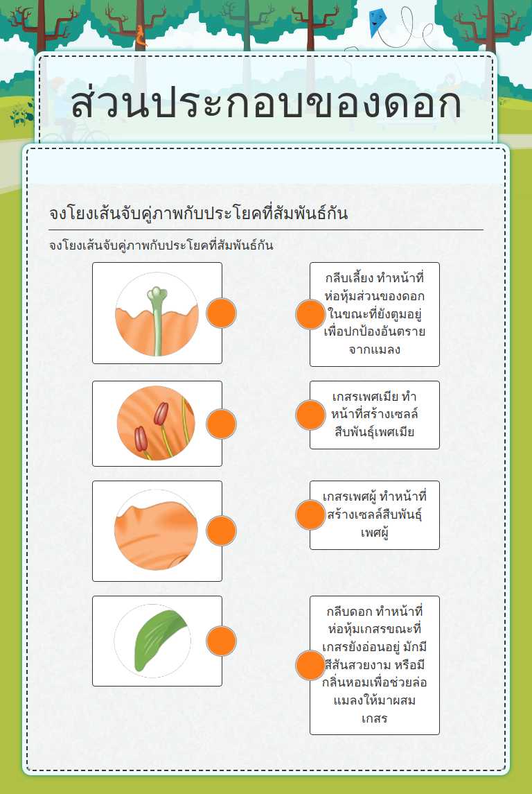 ส่วนประกอบของดอก worksheet preview image