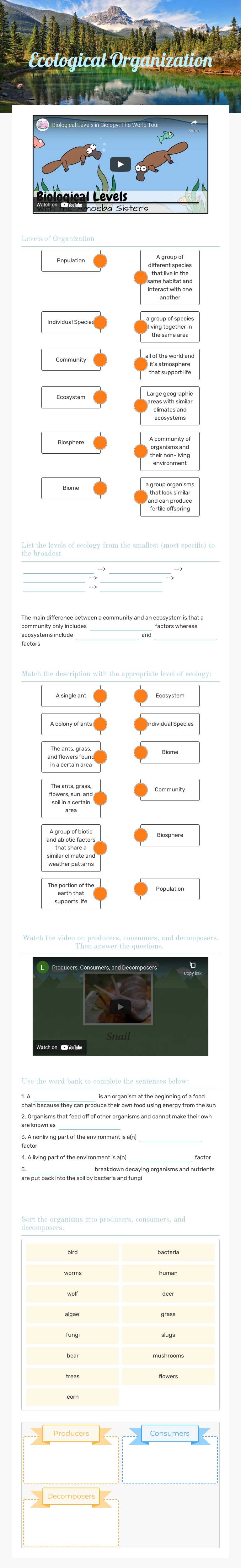Ecological Organization worksheet preview image
