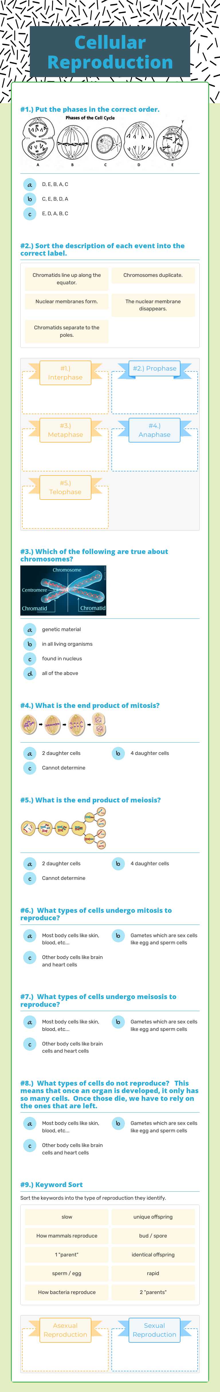 Cellular Reproduction worksheet preview image