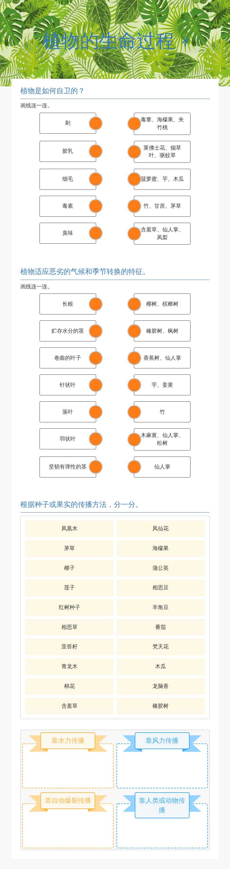 植物的生命过程 1 worksheet preview image