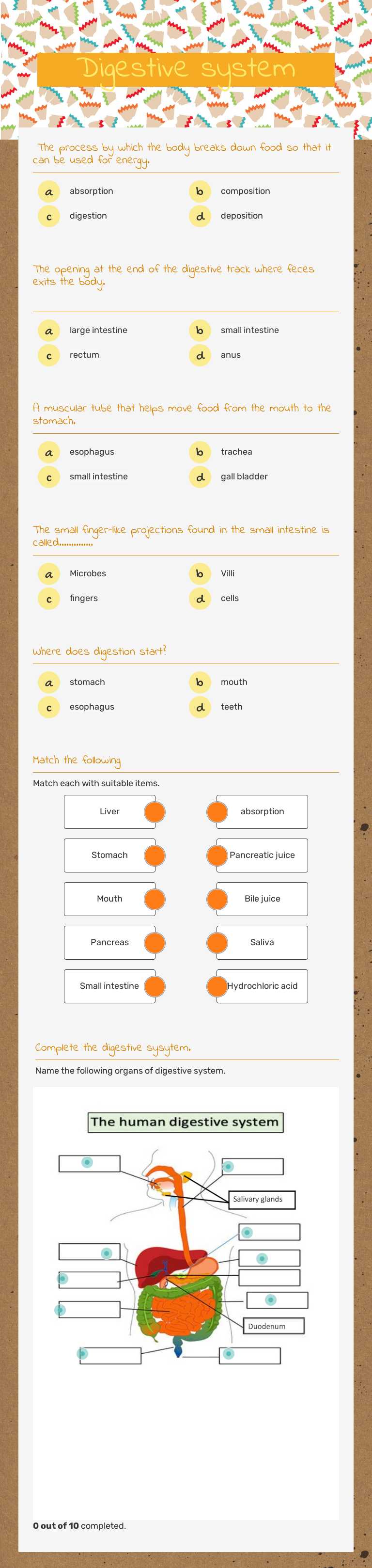 Digestive system worksheet preview image