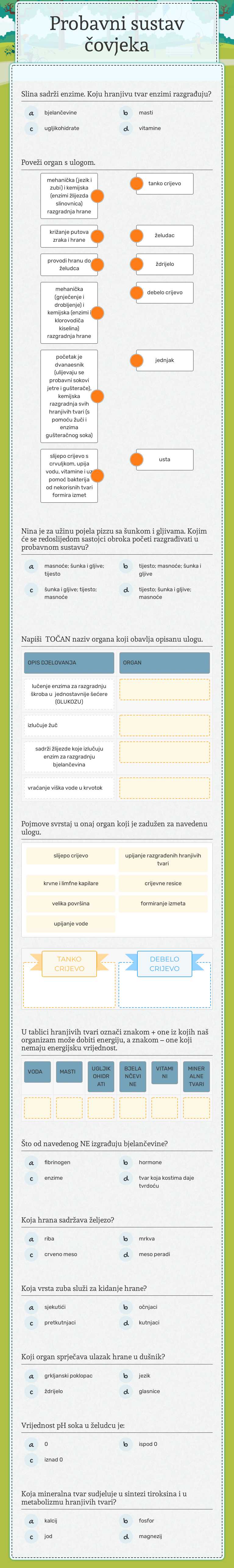 Probavni sustav čovjeka worksheet preview image