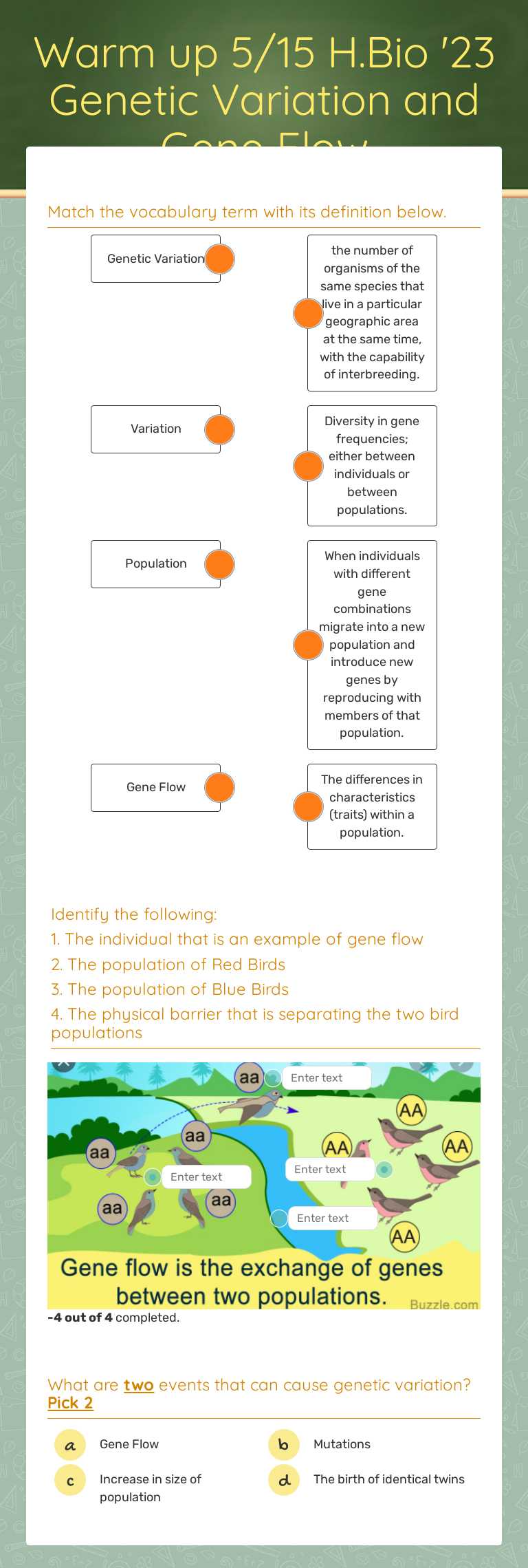 Warm up 5/15 H.Bio '23 Genetic Variation and Gene Flow worksheet preview image