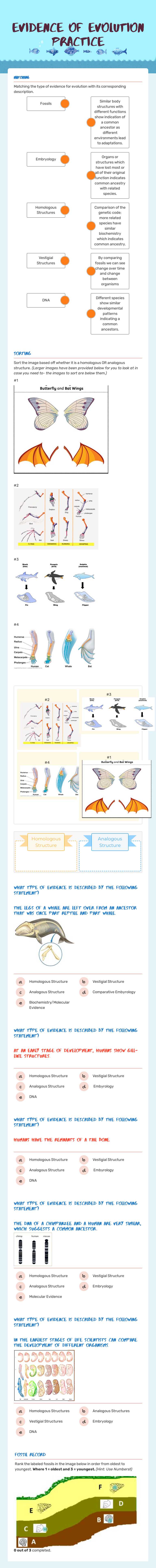 Evidence of evolution Practice worksheet preview image