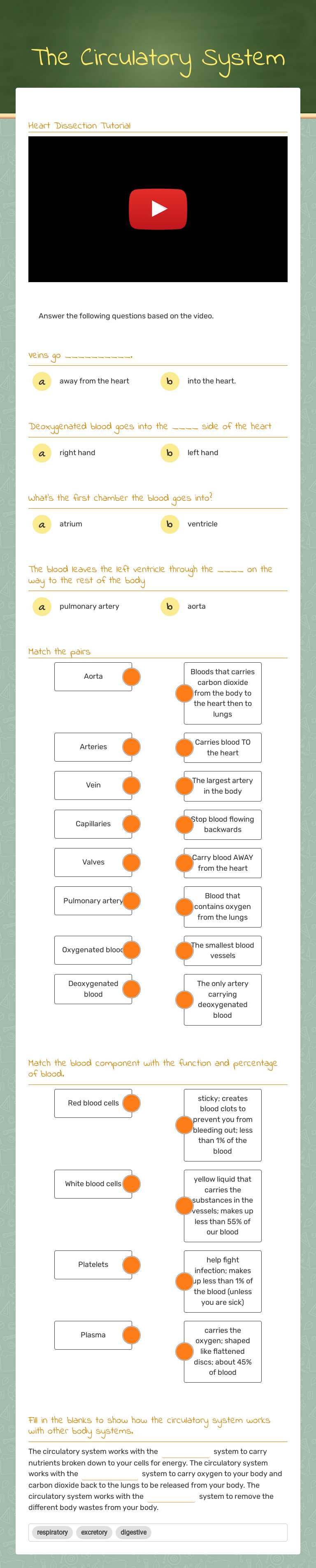 The Circulatory System worksheet preview image