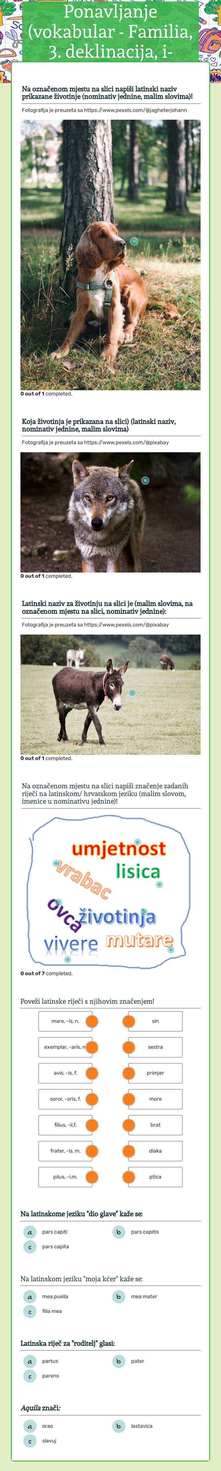 Ponavljanje (vokabular - Familia, 3. deklinacija, i-osnove) worksheet preview image