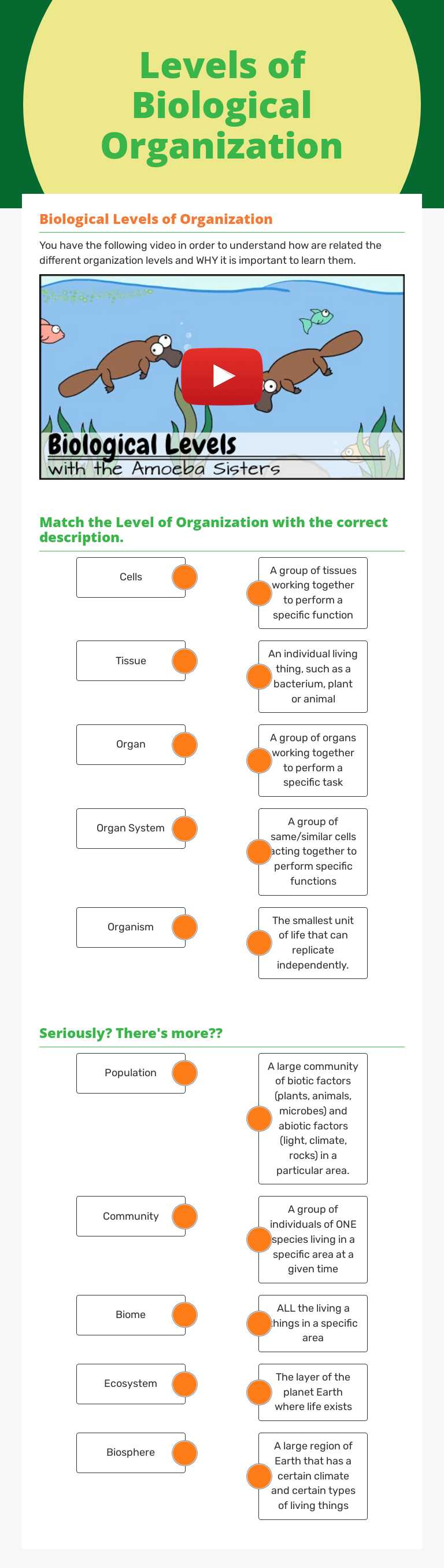 Levels of Biological Organization worksheet preview image
