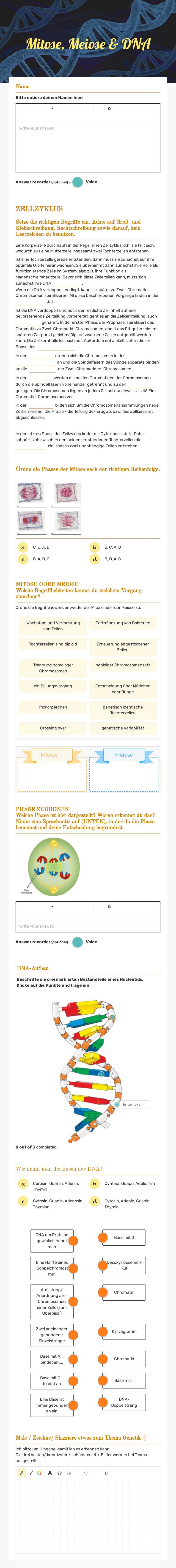 Mitose, Meiose & DNA worksheet preview image