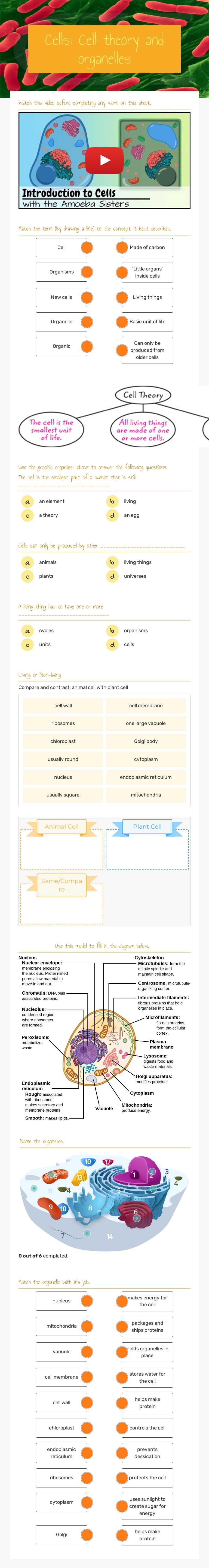 Cells: Cell theory and organelles by Science Chung | Interactive ...