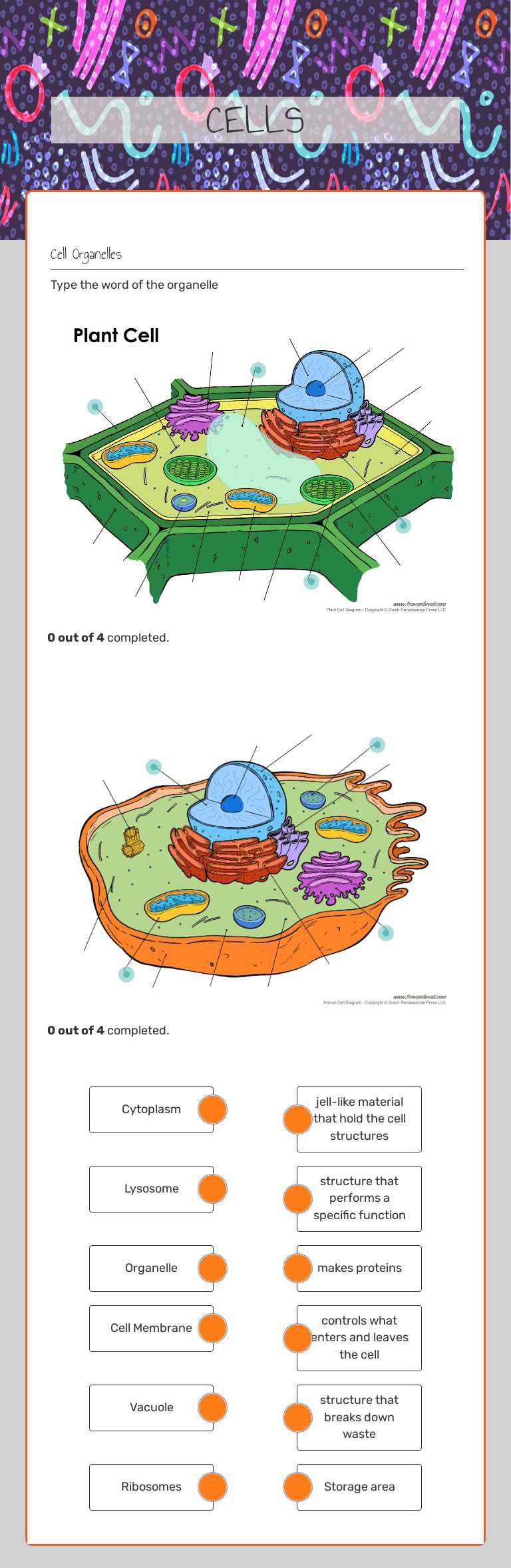 CELLS worksheet preview image