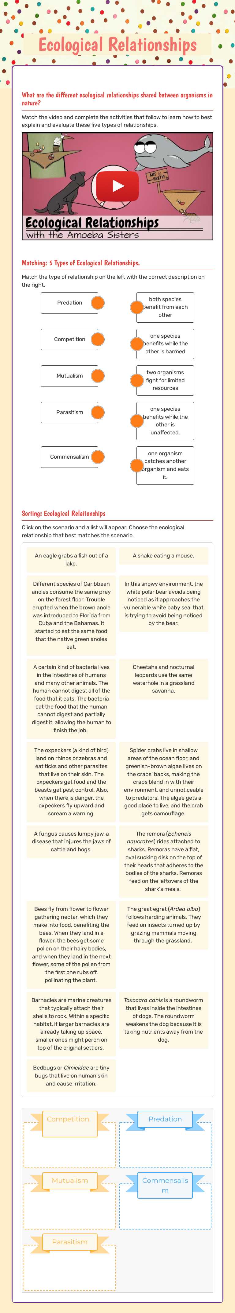 Ecological Relationships worksheet preview image
