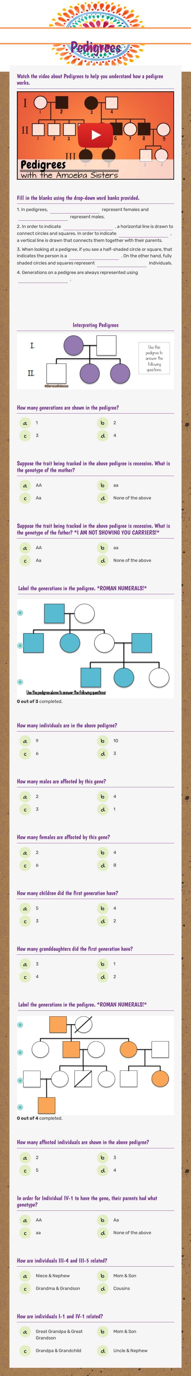 Pedigrees worksheet preview image