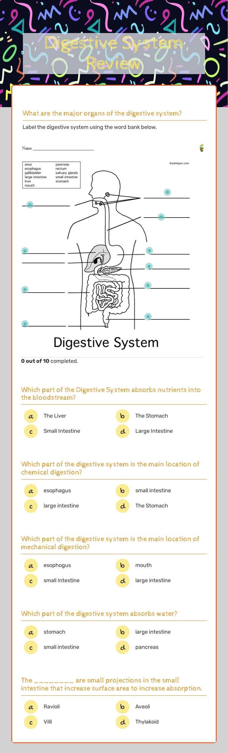 Digestive System Review worksheet preview image