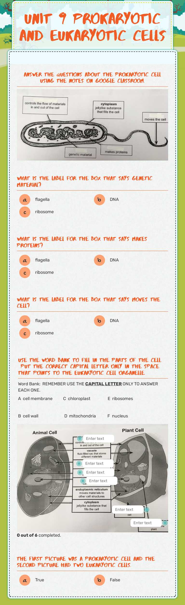 Unit 9 Prokaryotic and Eukaryotic Cells Grade 6 worksheet preview