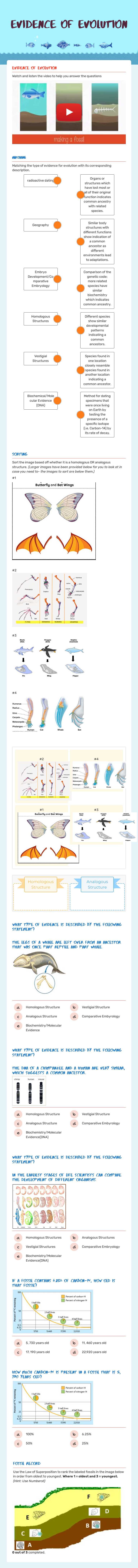 Evidence of evolution worksheet preview image