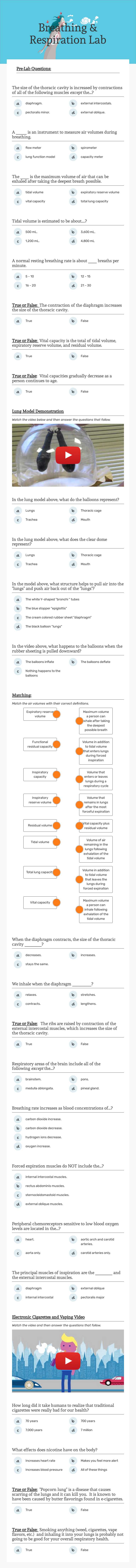 Breathing 
                  & 
                    Respiration 
                 Lab worksheet preview image