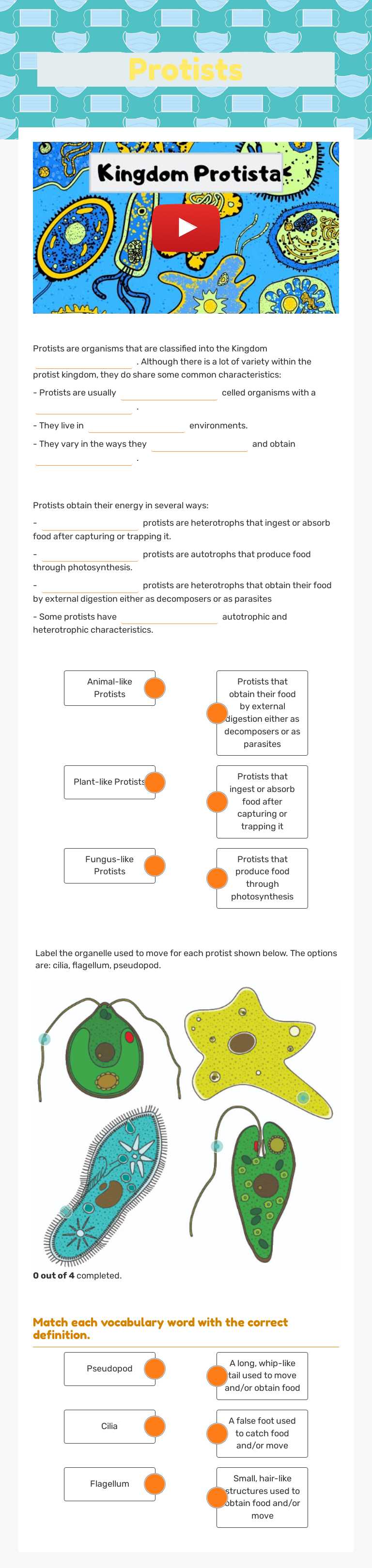 Protists worksheet preview image