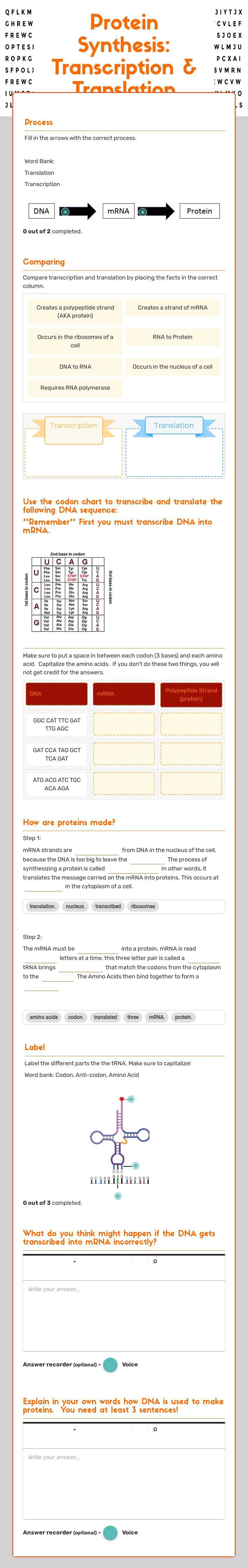 Protein Synthesis: Transcription & Translation worksheet preview image