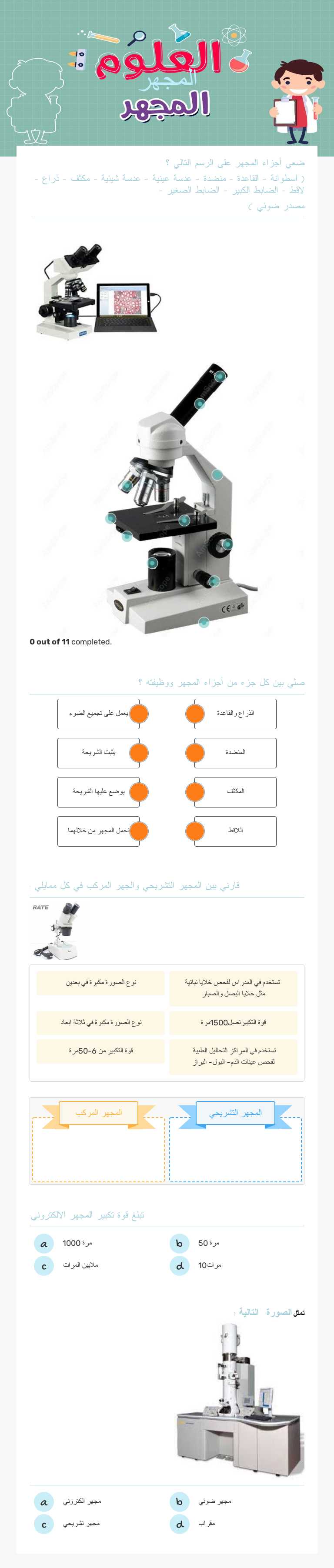المجهر Grade 6 worksheet preview