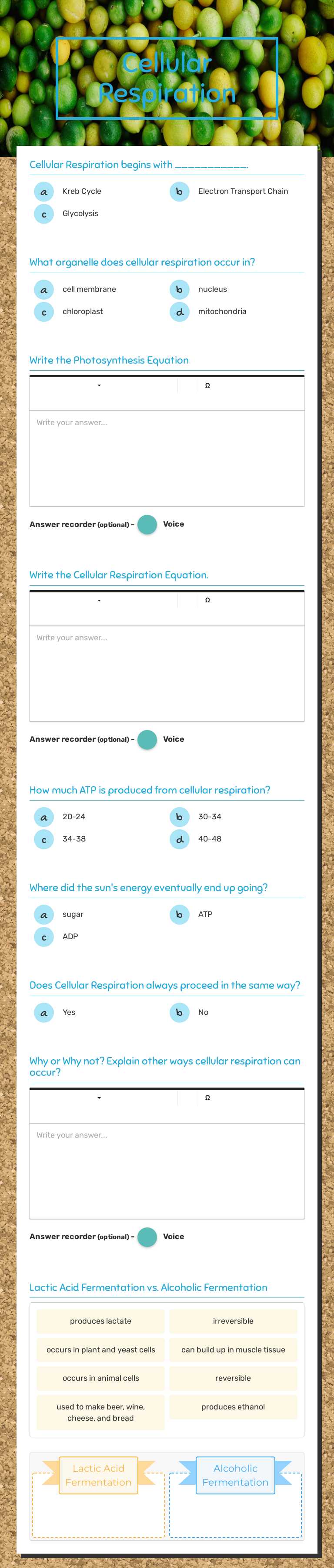 Cellular Respiration worksheet preview image