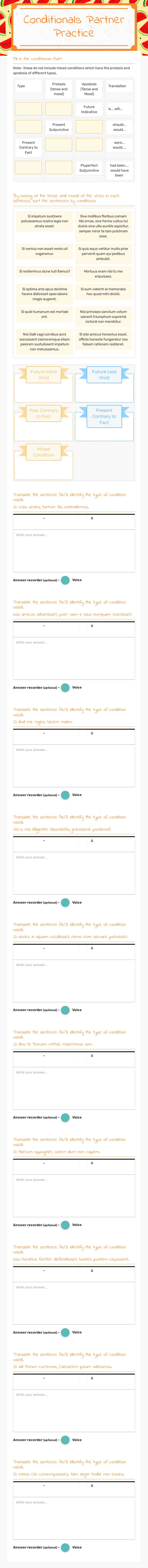 Conditionals Partner Practice worksheet preview image