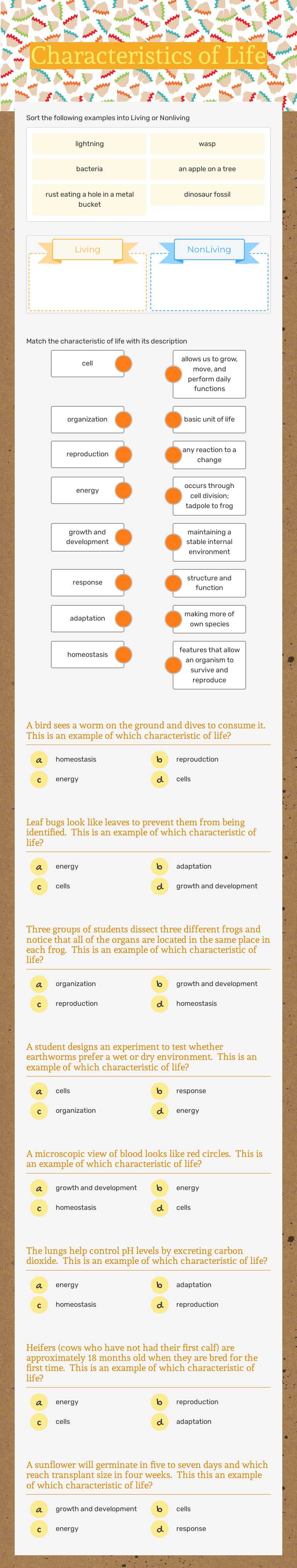 Characteristics of Life worksheet preview image
