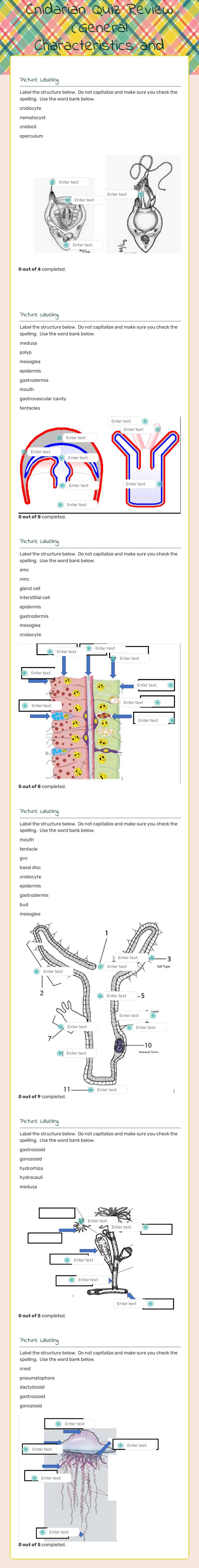 Cnidarian Quiz Review (General Characteristics and Class Hydrozoa) worksheet preview image