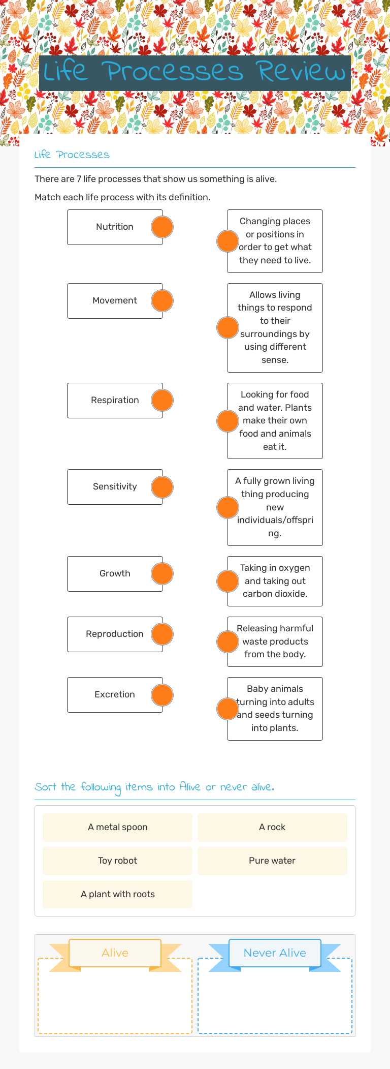 Life Processes Review Grade 3 worksheet preview