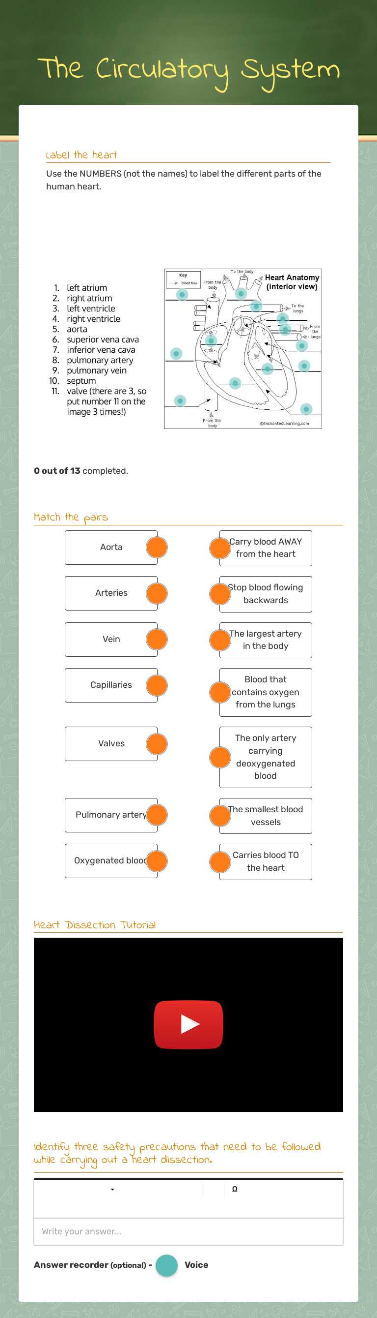 The Circulatory System worksheet preview image