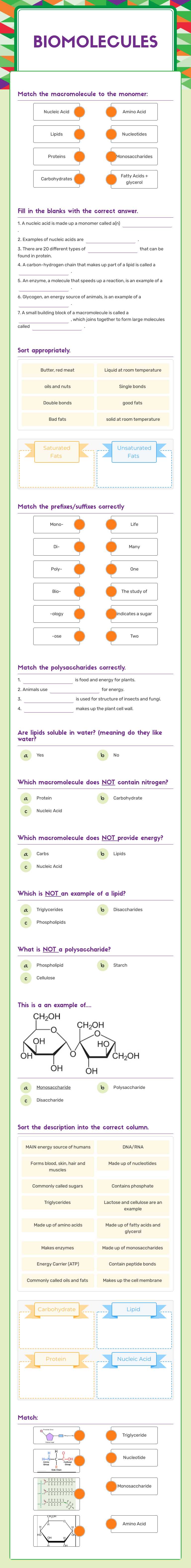 Biomolecules worksheet preview image