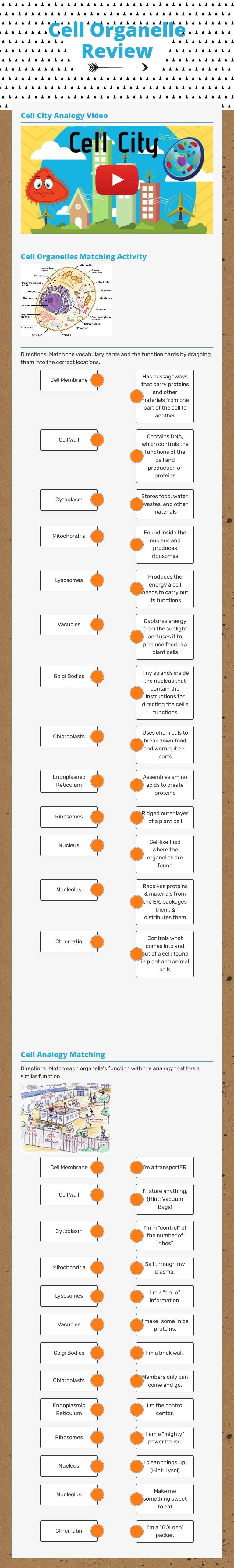 Cell Organelle Review worksheet preview image