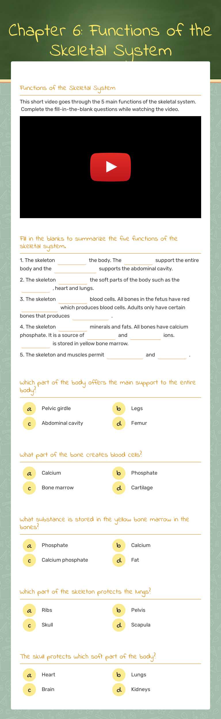 Chapter 6: Functions of the Skeletal System worksheet preview image