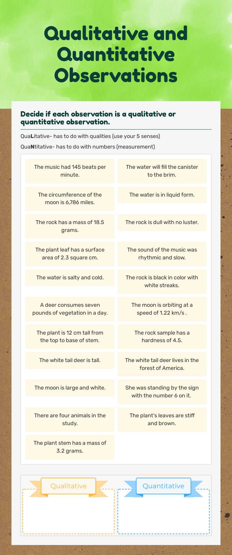 Qualitative and Quantitative Observations worksheet preview image